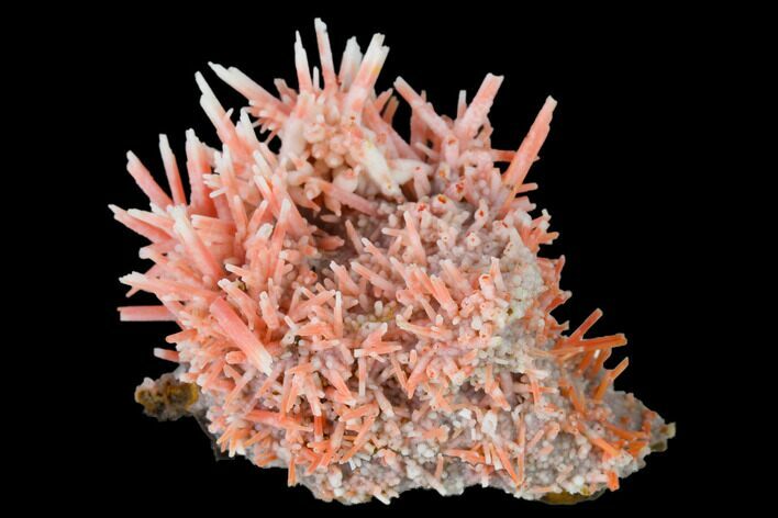 Crocoite Covered In White Gibbsite - Tasmania #171652